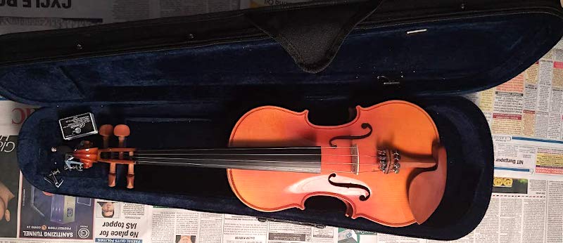 The Violin Store Violin Price in India Amazon