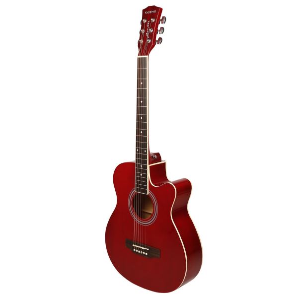best acoustic guitars for beginners in india