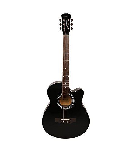 best acoustic guitar for beginners in india