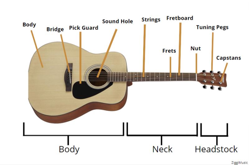 best guitar for beginners in india